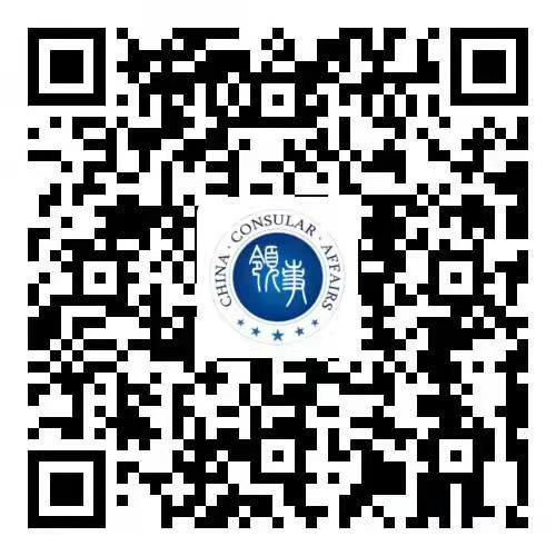 中国领事APP.png